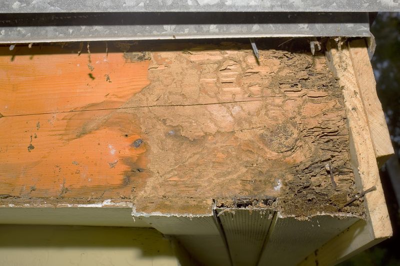 Dry Rot Repair in Denver, CO