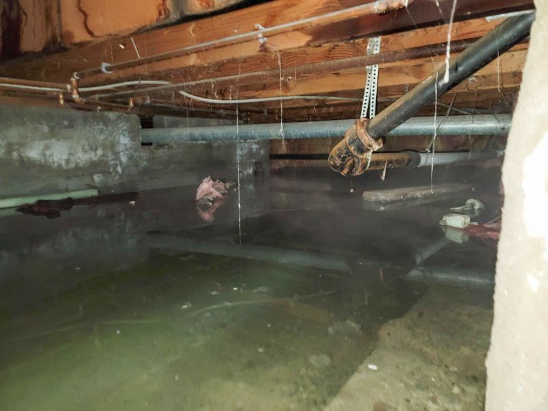 Basement Restoration Service in Chandler, AZ