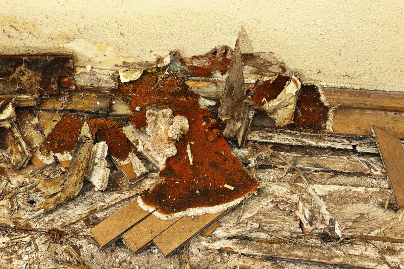 Decay Repair Service in Indianapolis, IN