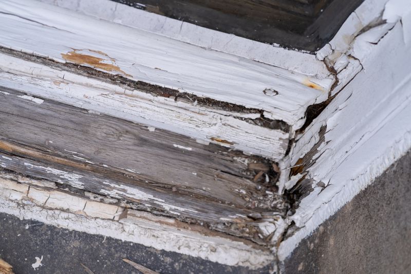 Decay Repair Service in Longmont, CO