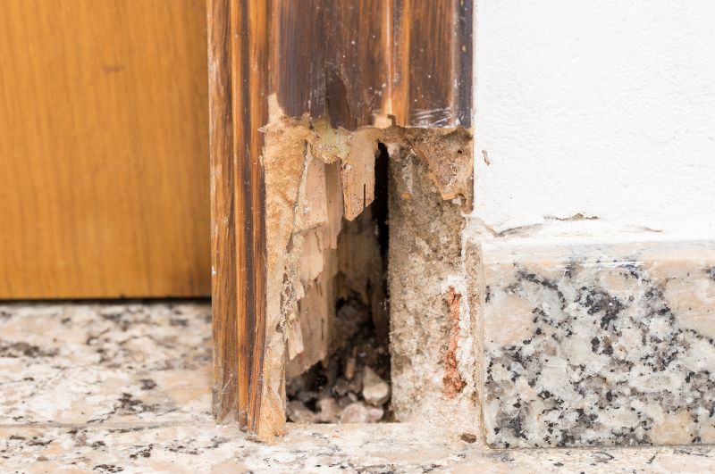 Decayed Wood Replacement in Alpharetta, GA