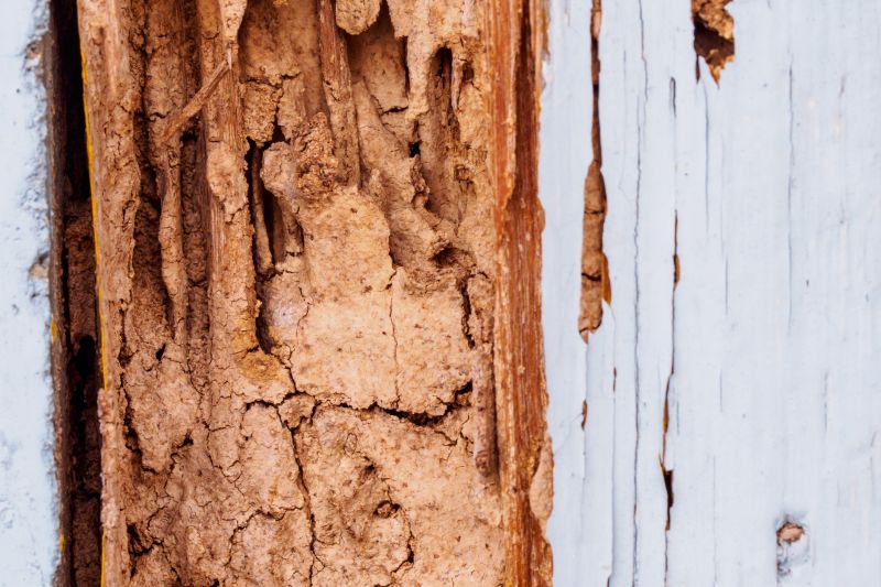 Decayed Wood Replacement in Roswell, GA