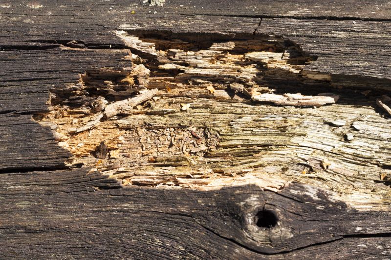 Decayed Wood Replacement in Conroe, TX