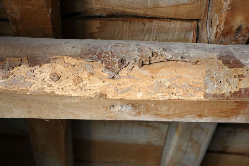 Decayed Wood Replacement in Indianapolis, IN