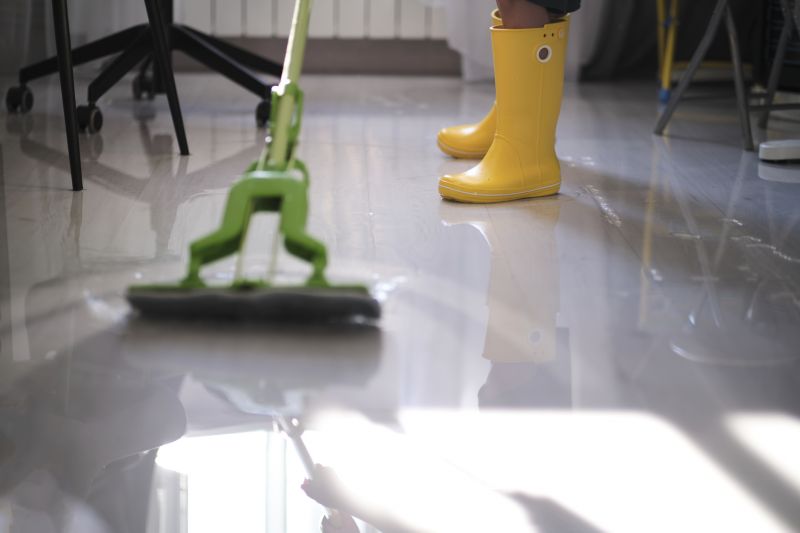 Moisture Removal Service in Chandler, AZ