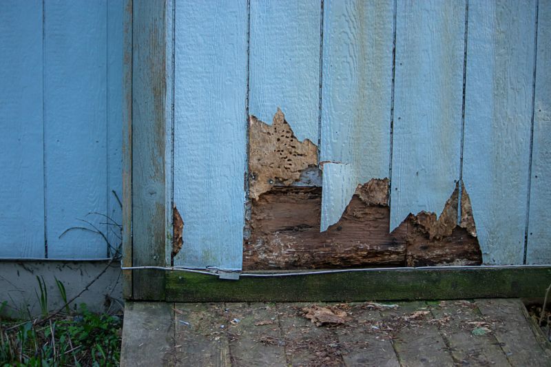 Pest Damage Repair in Alpharetta, GA