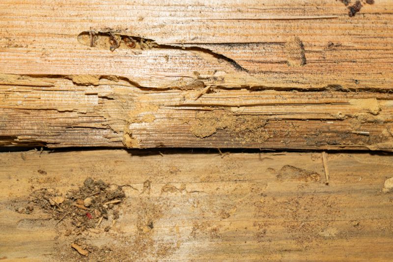Rotten Wood Repair in Alpharetta, GA