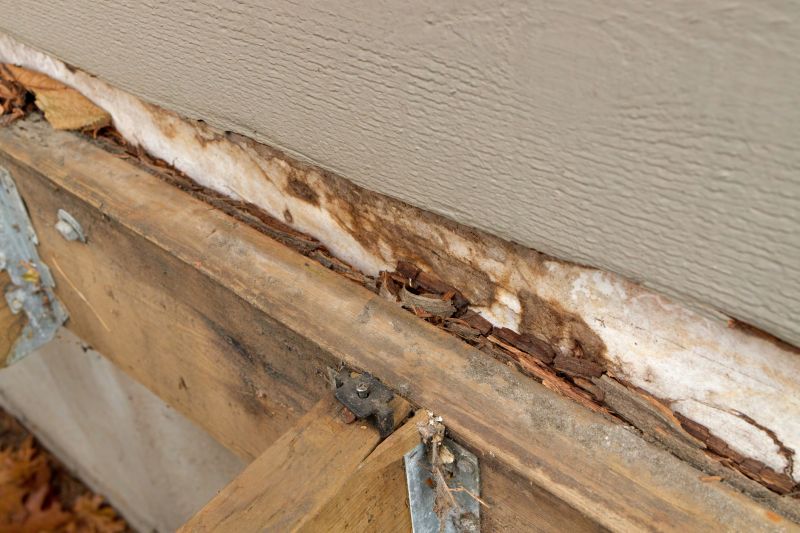 Structural Rot Repair in Boulder, CO
