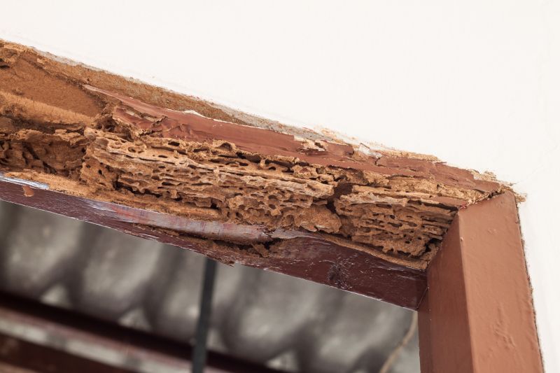 Structural Rot Repair in Kansas City, KS