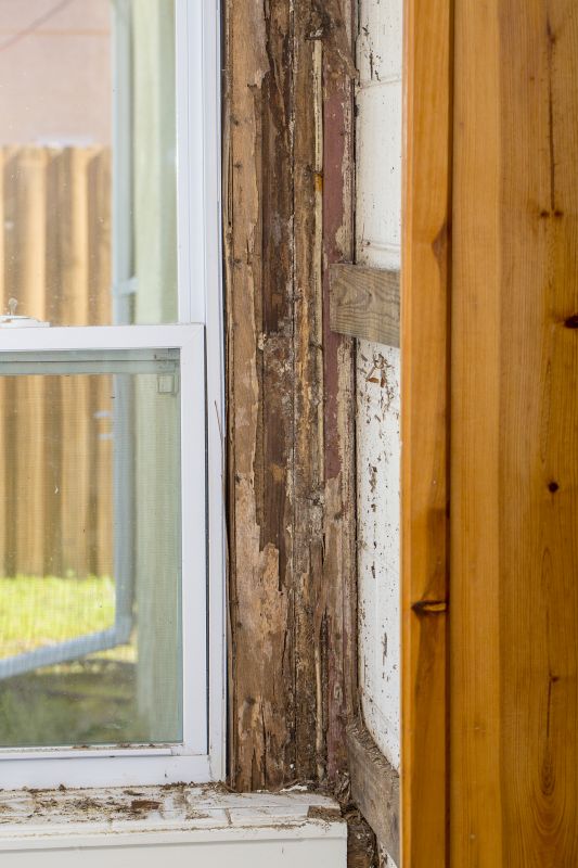 Termite Damage Repair Service in Kansas City, KS