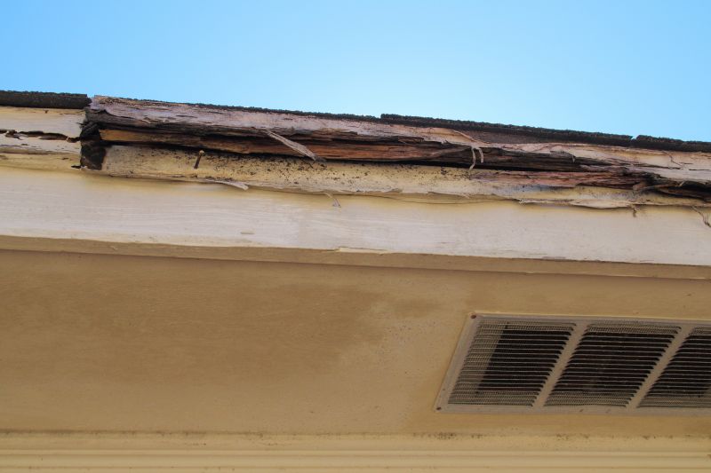 Termite Damage Restoration in Indianapolis, IN