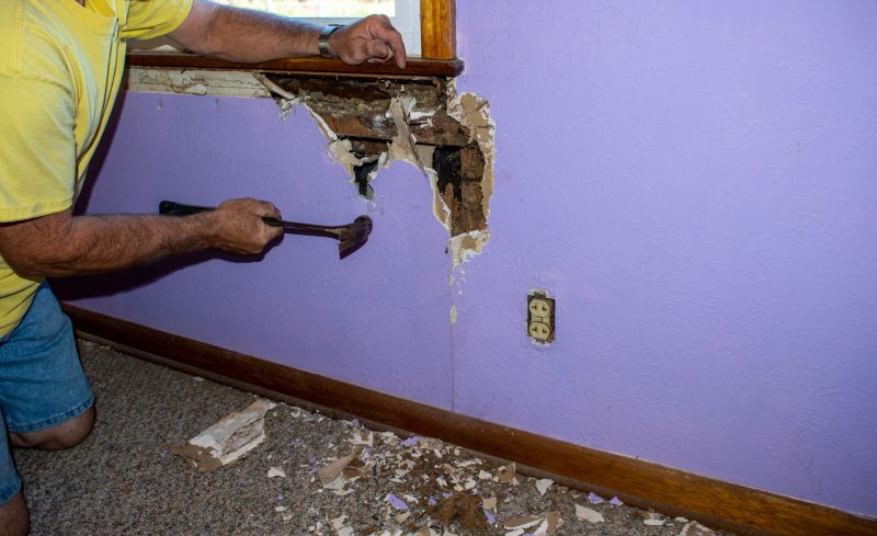Termite Damage Restoration in Denver, CO
