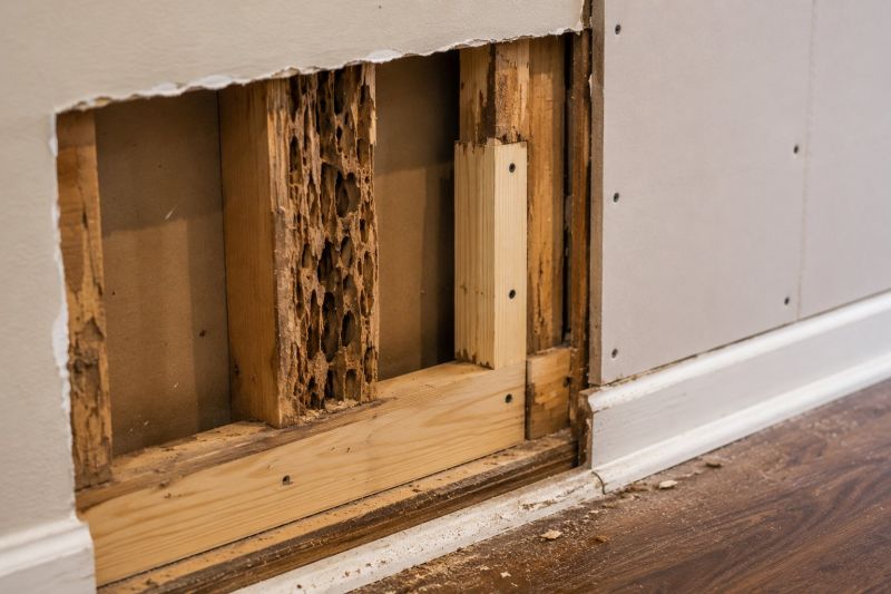 Termite Damage Restoration in Conroe, TX