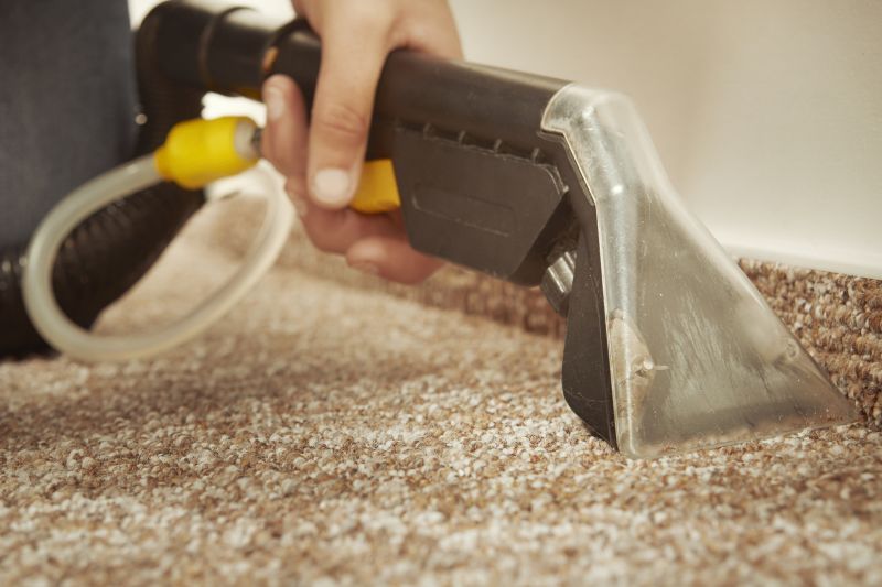 Wet Carpet Restoration in Mesa, AZ