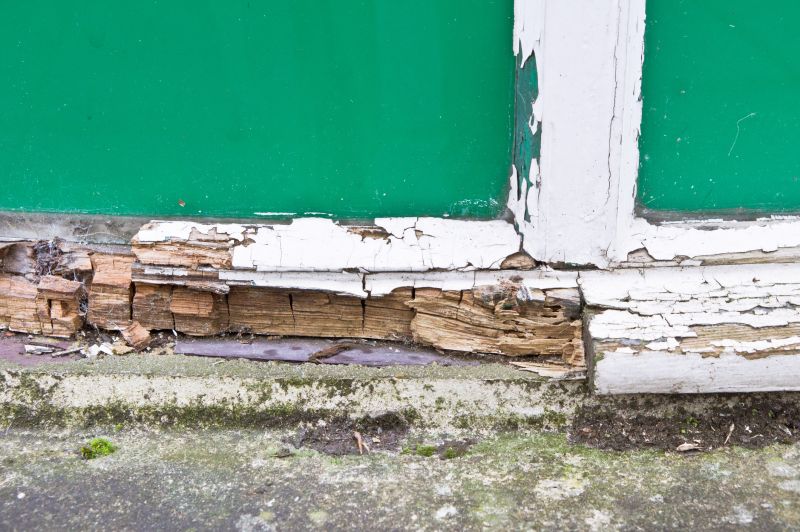 Wood Decay Removal in Arvada, CO