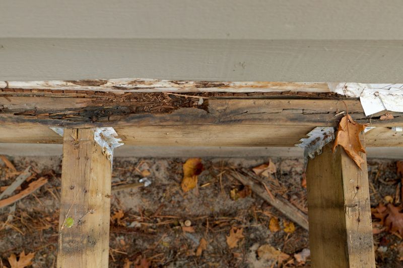 Wood Decay Removal in Denver, CO