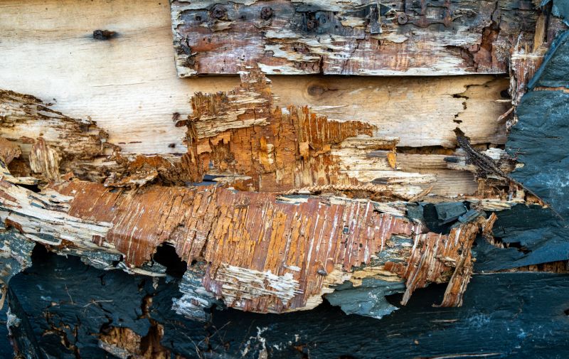 Wood Decay Repair in Boulder, CO