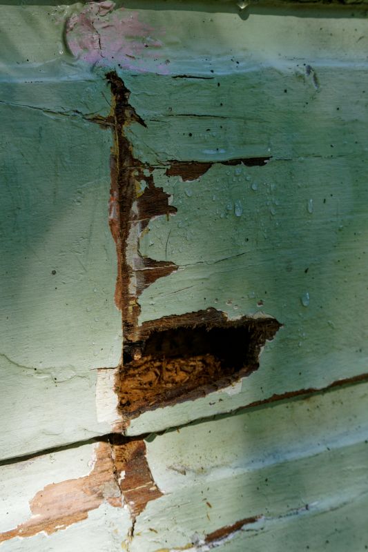 Wood Decay Repair in Olathe, KS