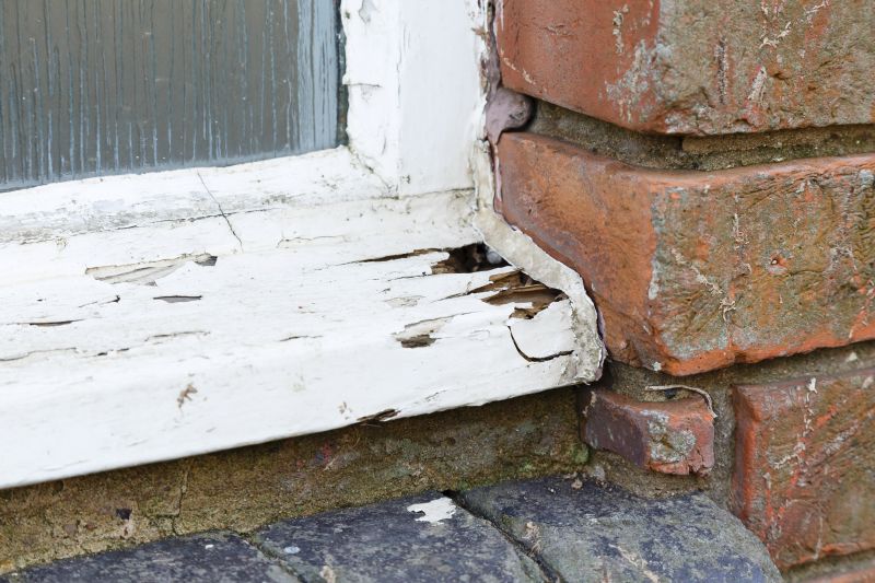 Wood Rot Removal in Denver, CO